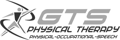 client-gts-logo